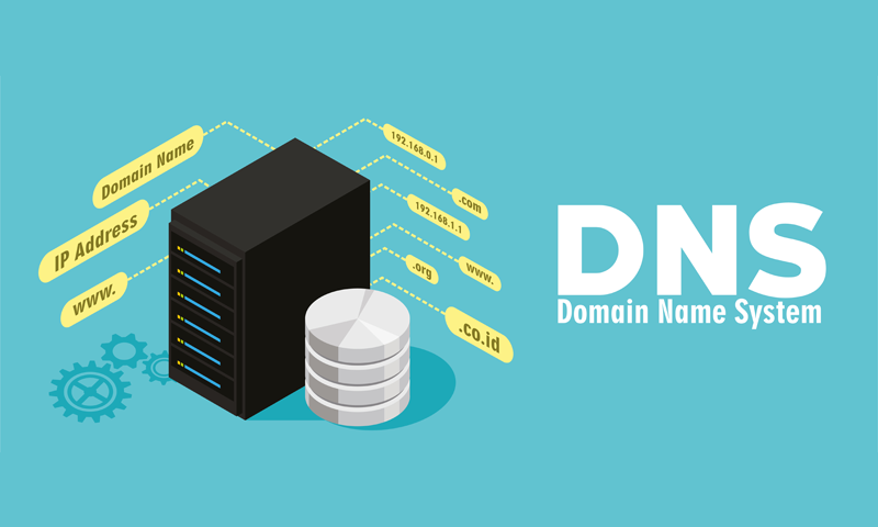 DNS Nedir